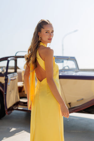 Miravel Dress